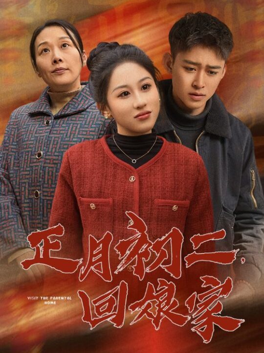 15882-正月初二回娘家(41集)