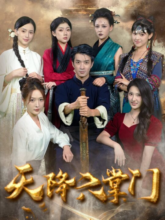 16195-天降六掌门(48集)