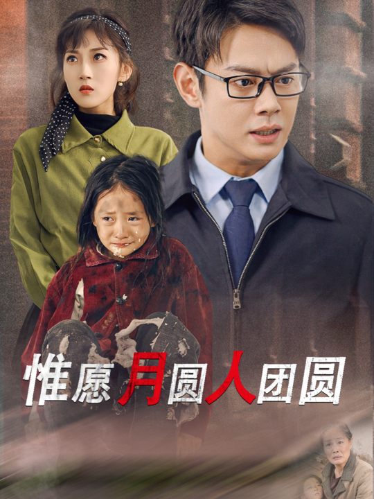 16333-惟愿月圆人团圆(38集)