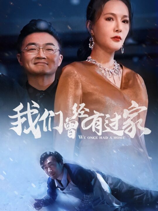 16474-我们曾经有过家(63集)