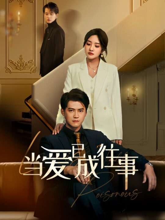 16310-新：当爱已成往事(60集)