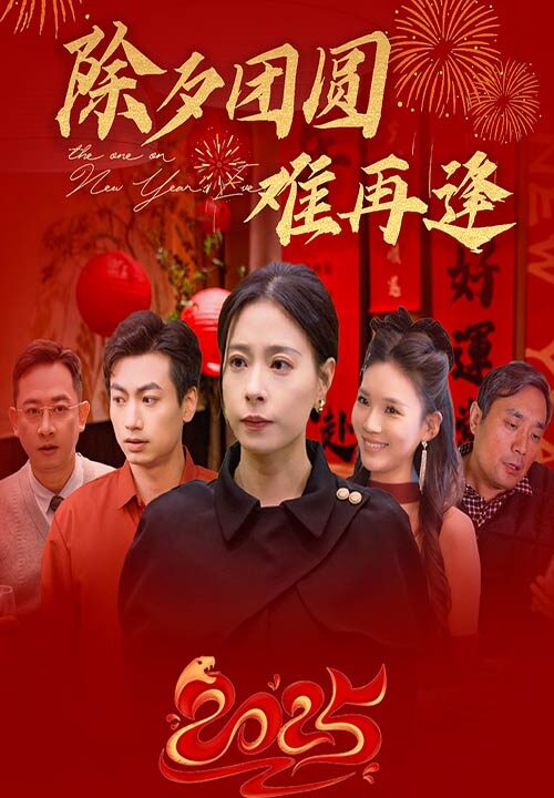 16086-除夕团圆难再逢(54集)