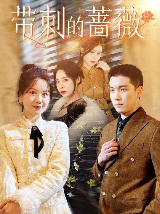 16324-带刺的蔷薇(50集)