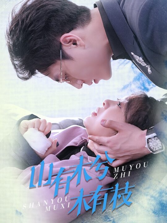 16043-山有木兮木有枝(60集)张添景＆彭瑶