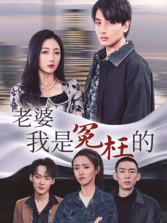 15984-老婆我是冤枉的(31集)