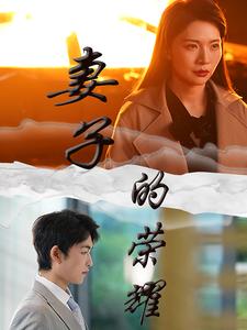 15609-妻子的荣耀(40集)