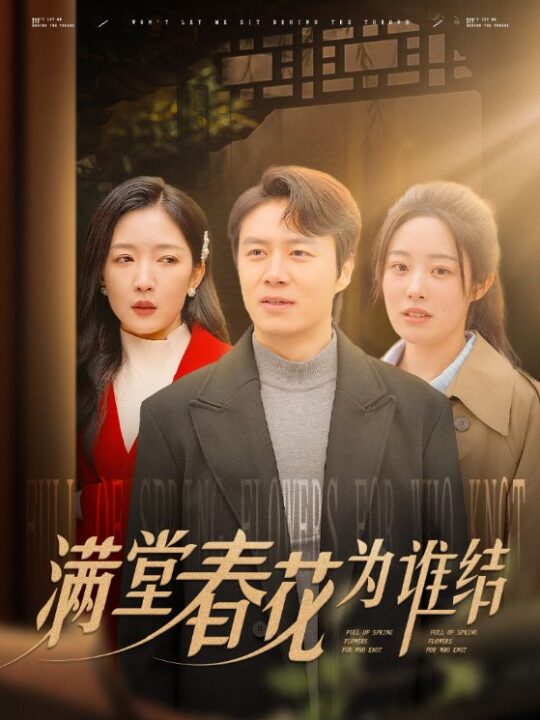 16423-满堂春花为谁结(50集)