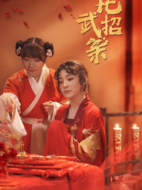 16528-比武招亲(61集)蒋欣悦