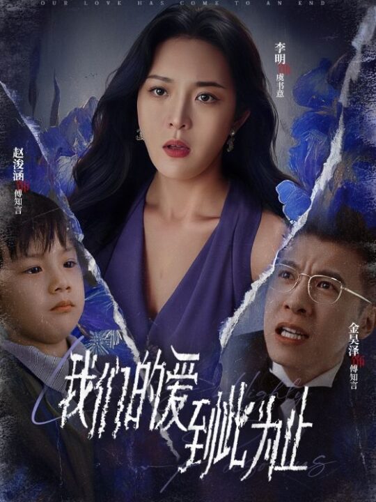 15541-我们的爱到此为止(40集)李明