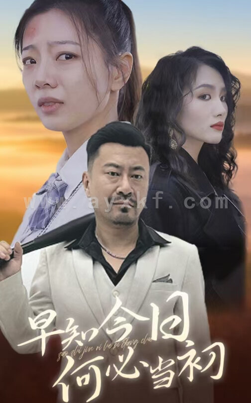 14817-早知今日何必当初(30集) 最新 图1张