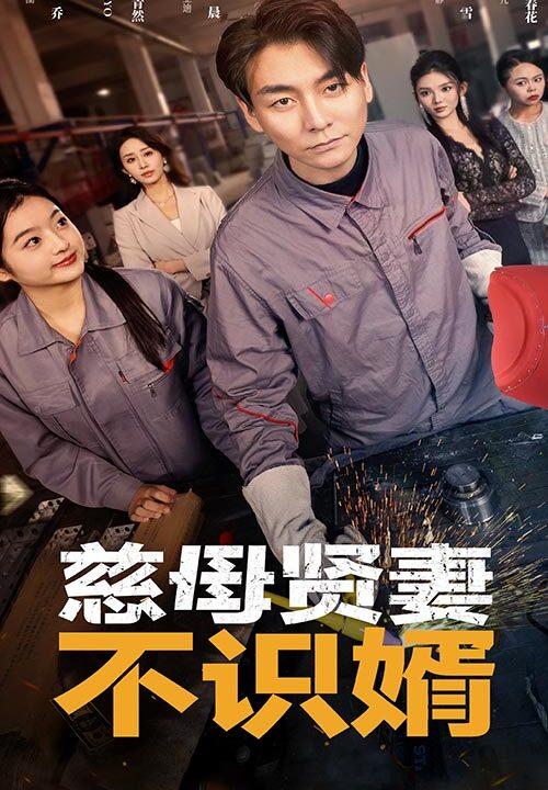 14871-慈母贤妻不识婿(45集)