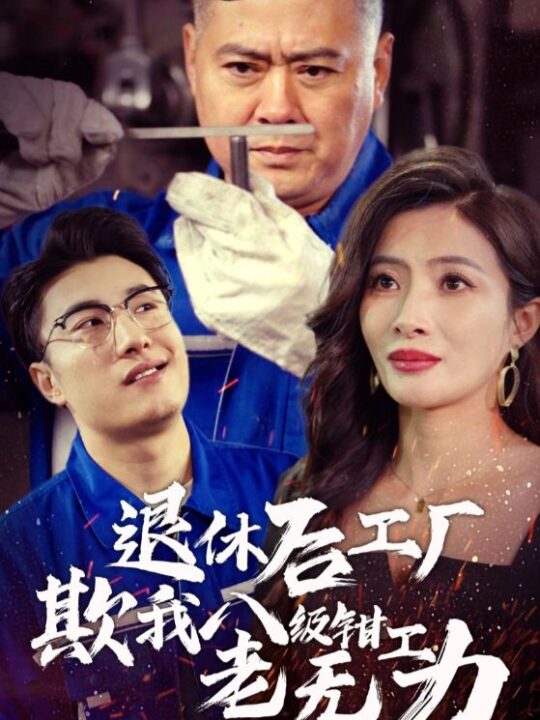 14508-退休后工厂欺我八级钳工老无力(35集)