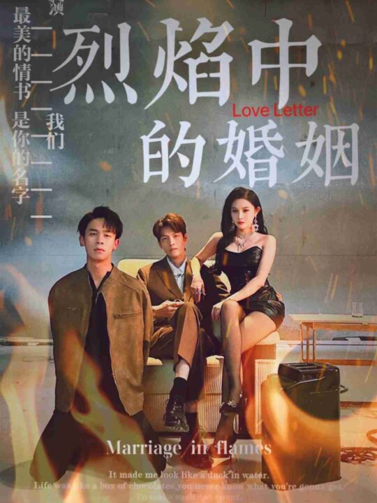 15484-烈焰中的婚姻(32集)