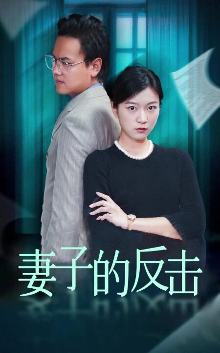 15402-妻子的反击&消失的爱人(27集)