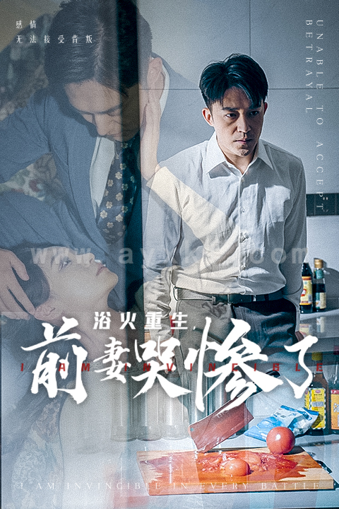 14885-浴火重生，前妻哭惨了(30集)