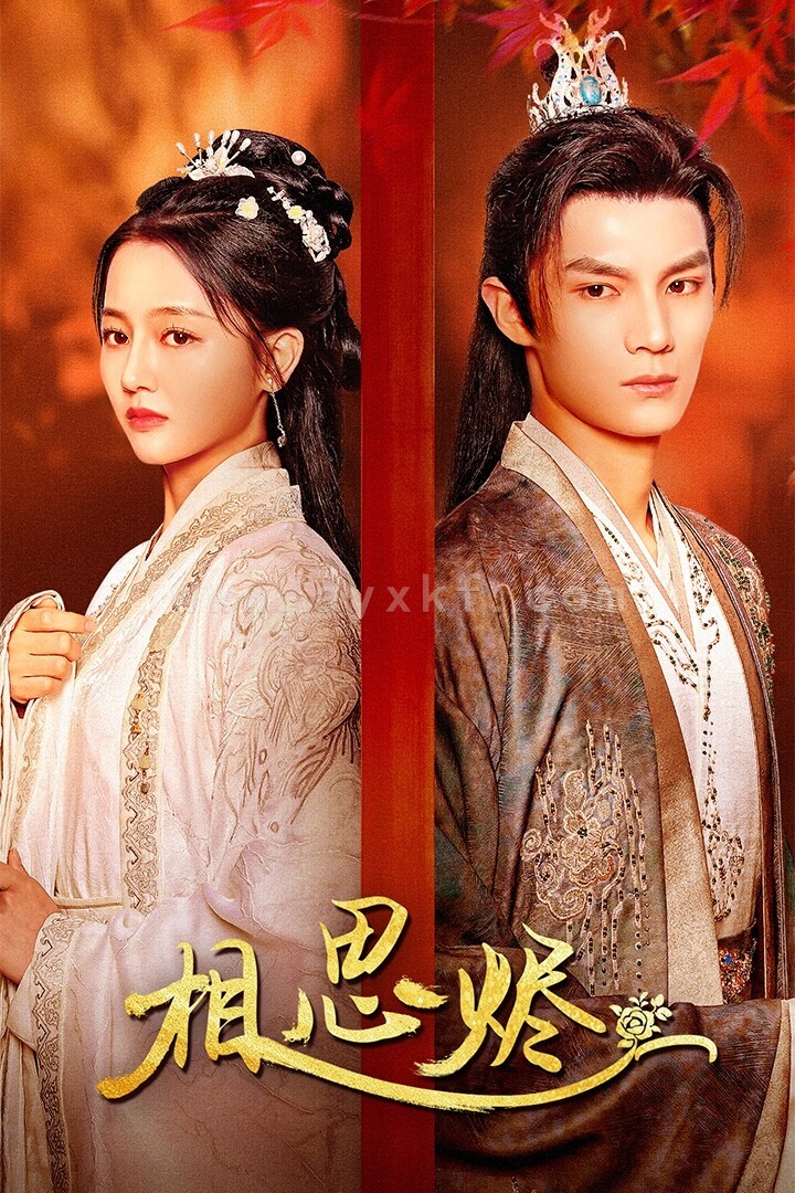 14590-相思烬(62集) 内容图1 一个实时收录全网最齐全的短视频短剧网剧小剧场的网站! 14590-相思烬(62集) 最新 图1张