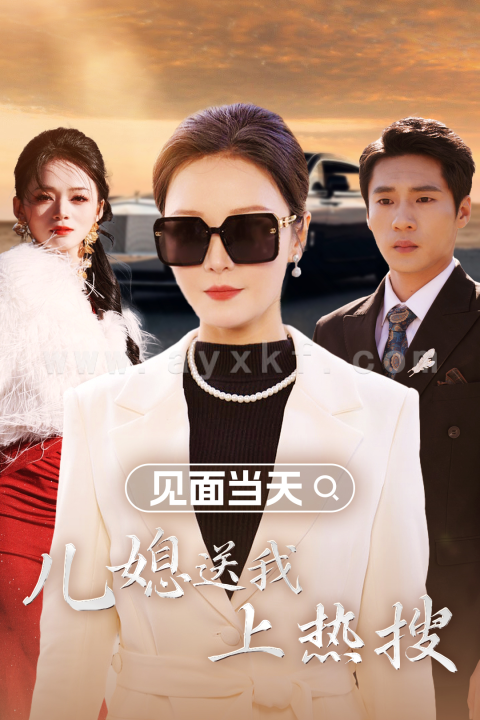 15293-见面当天儿媳送我上热搜(30集)