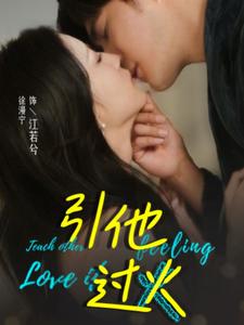 15042-引他过火(40集)