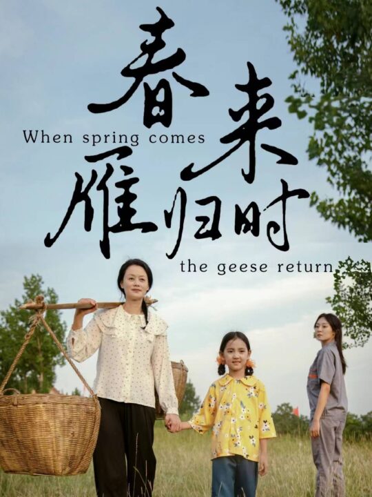 14531-春来雁归时(61集)