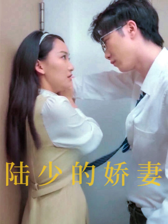 14711-陆少的娇妻(100集)