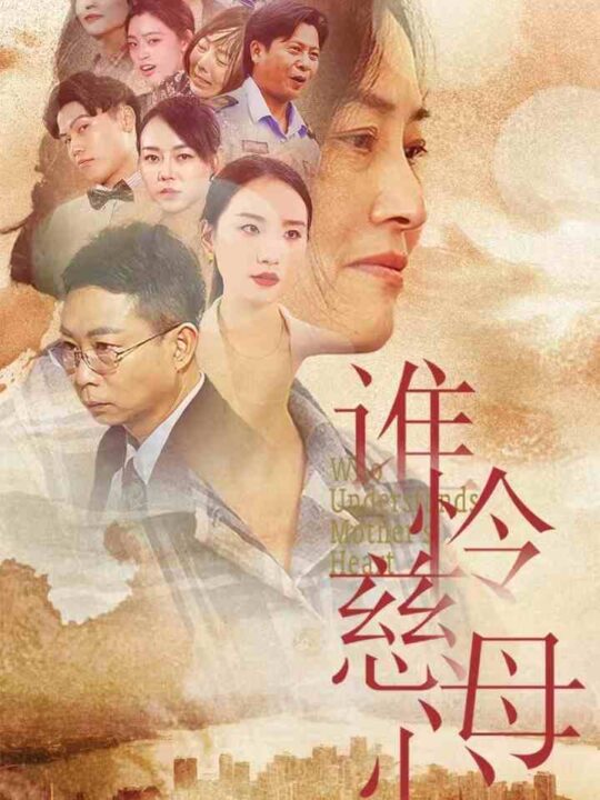 14673-谁怜慈母心(46集)