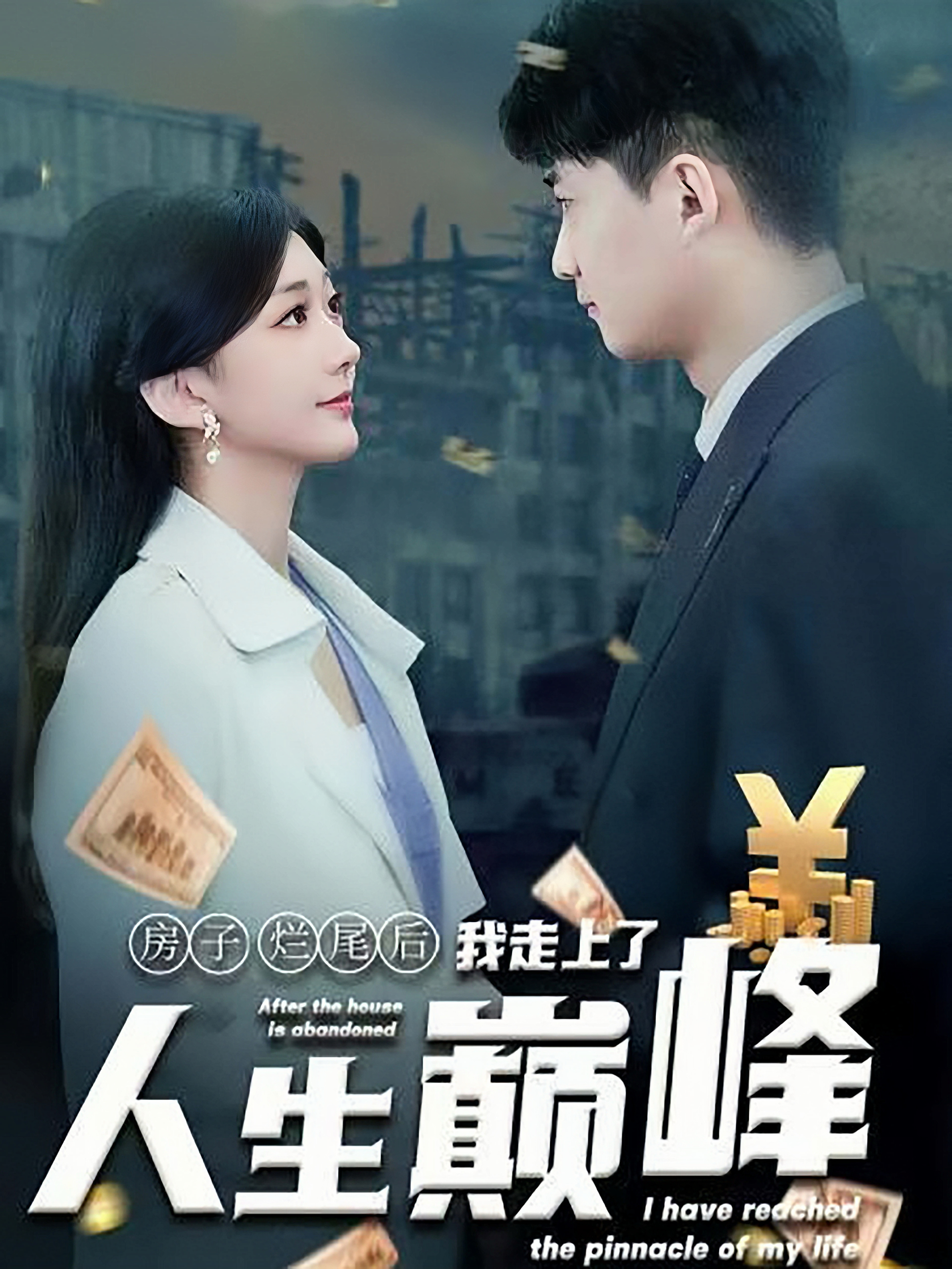 15276-房子烂尾后我走上了人生巅峰(36集) 最新 图1张