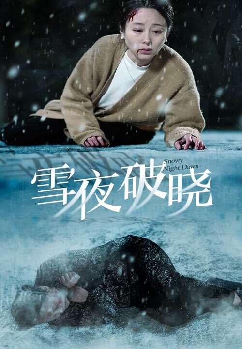 14843-雪夜破晓(36集)