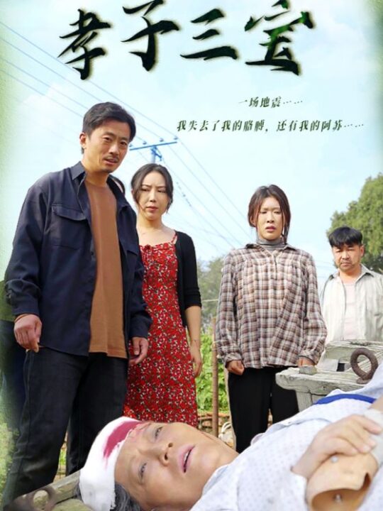 15371-孝子三宝(50集)