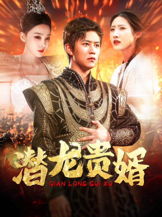 15314-潜龙贵婿(89集)