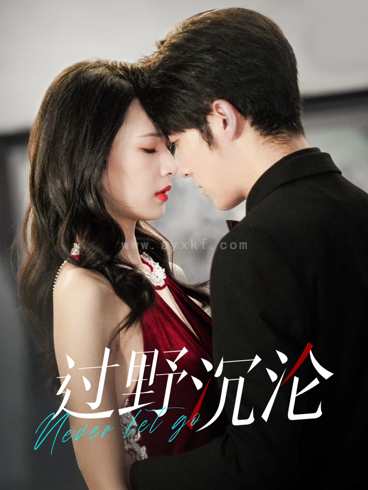 15018-过野沉沦(100集)王子林 最新 图1张