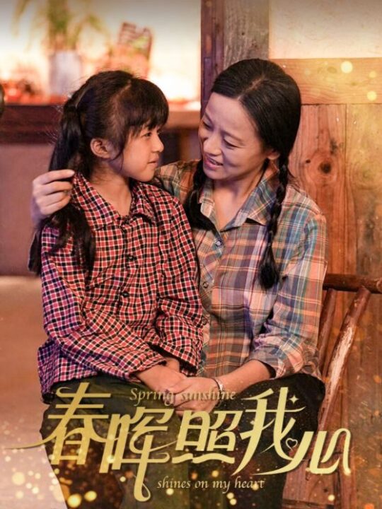 14715-春晖照我心(40集)