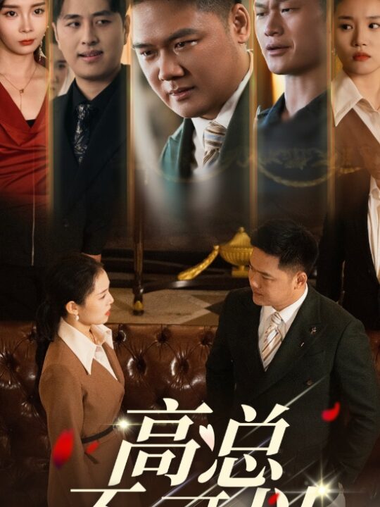 14702-高总不可以(45集)