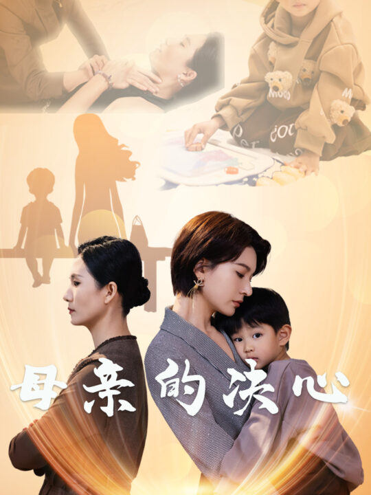 15274-母亲的决心(31集)