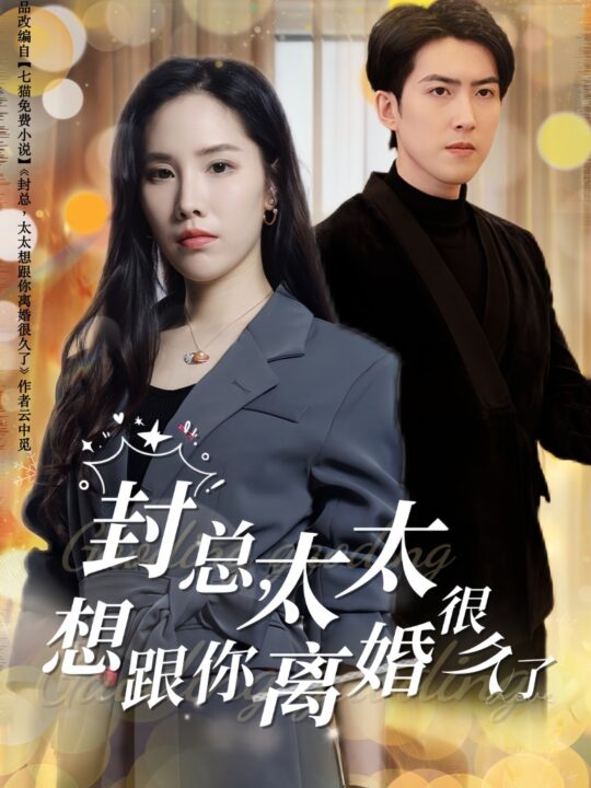 15163-封总太太想跟你离婚很久了(47集)