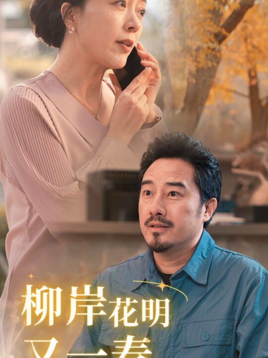 14795-柳暗花明又一春(40集)