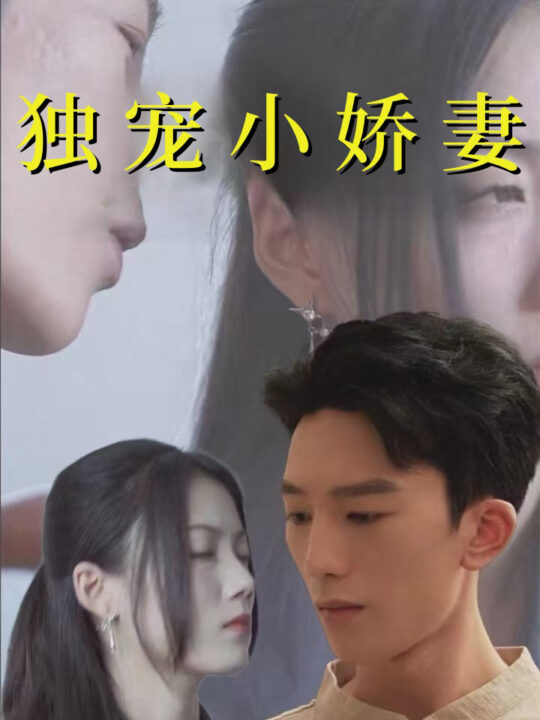 14763-独宠小娇妻(101集)
