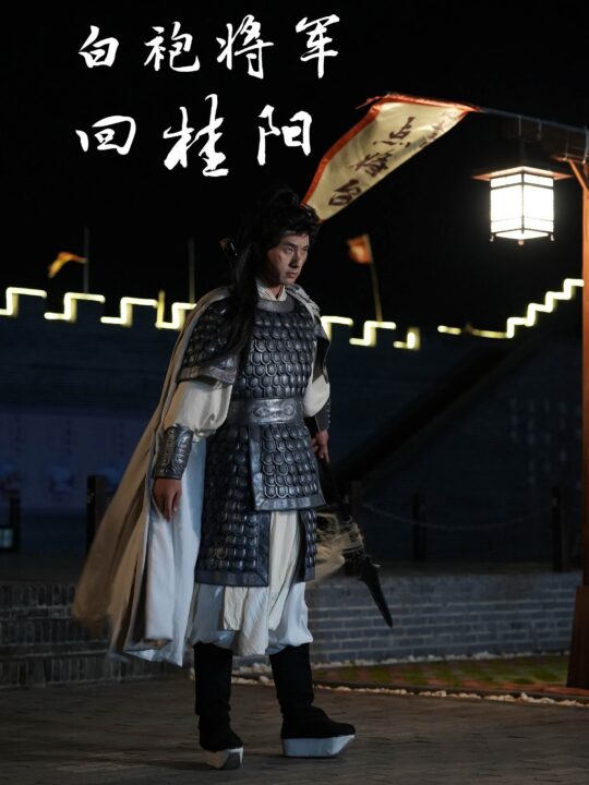 15256-白袍将军回桂阳(36集)