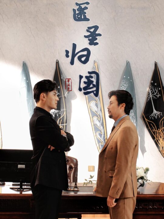 15247-医圣归国(32集)