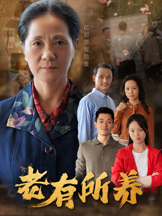 15227-老有所养(35集)