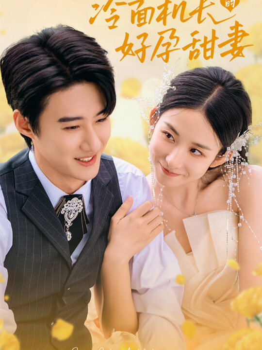 14739-冷面机长的好孕甜妻(78集)赵振栋＆李悦暄