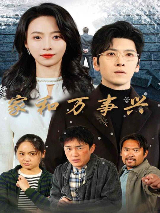 15134-家和万事兴(30集)