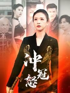 14694-冲冠怒(93集)