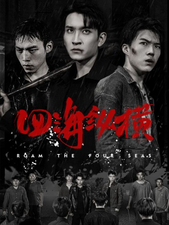 14528-四海纵横(60集)