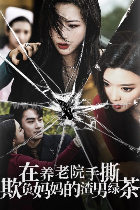 14798-在养老院手撕欺负妈妈的渣男绿茶(26集)