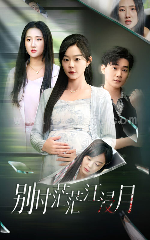 14889-别时茫茫江浸月(30集)蔚琳 最新 图1张