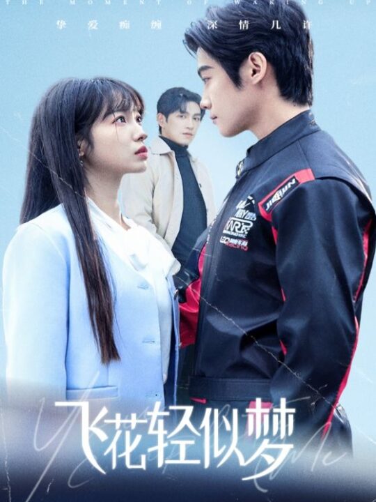 14628-飞花轻似梦(37集)谢鸿鑫＆陆元