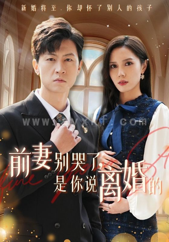 14948-前妻别哭了是你说离婚的(42集) 最新 图1张