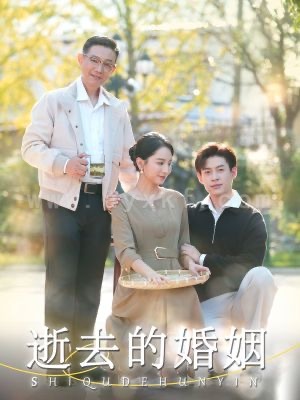 14895-逝去的婚姻(60集)孔莹莹