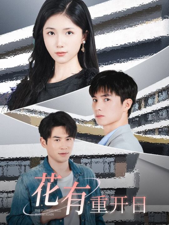 14513-花有重开日(41集)