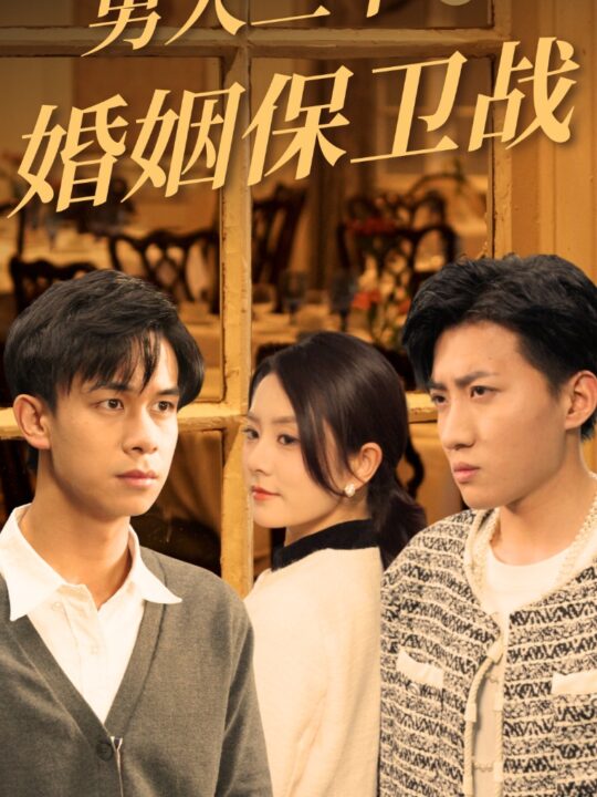 14973-男人三十之婚姻保卫战(31集)